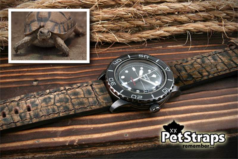 PetStraps：寵物伴侶的愛存在于……您的手腕上-復刻表